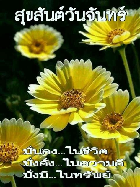 ปักพินโดย Somacha Homhual ใน Good Morning And A Good Day อรุณสวัสดิ์