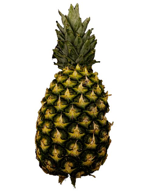 Pineapple On Black Free Stock Photo Public Domain Pictures