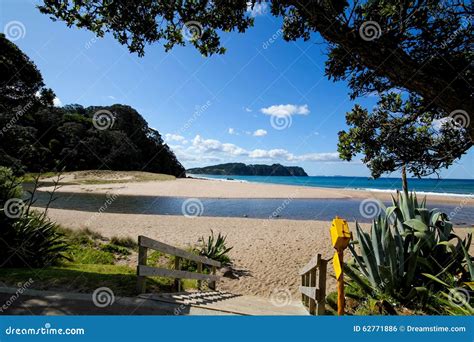 Hot Water Beach Stock Photo Image Of Zealand North