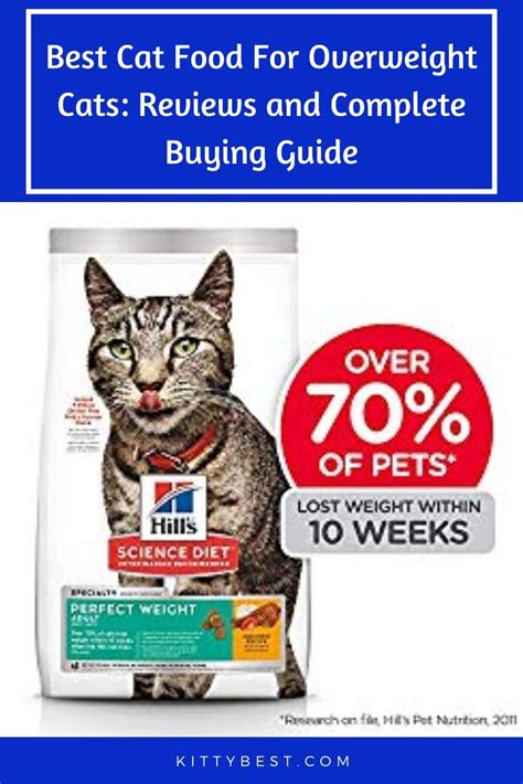 Taste of the wild high protein real. Best Cat Food For Overweight Cats in 2020 | Best cat food ...