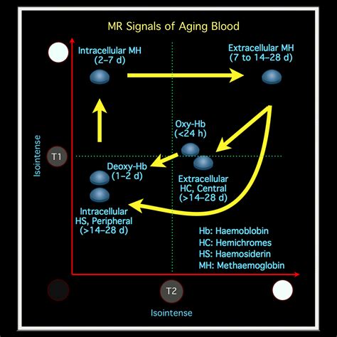 Blood Mri T1 T2