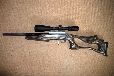Ruger 1022 Custom Haverfordwest Target Shooting Club