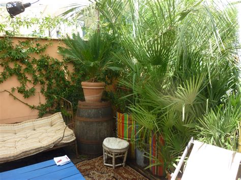 Quelle plante retombante pour Jardiniere ? – MaisonAuTop | Magazine #1