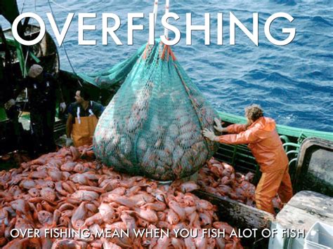 Overfishing By Fue Lee