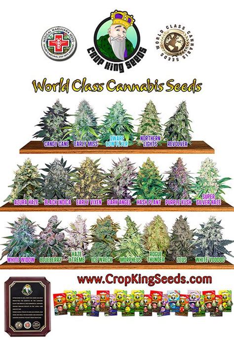 Hi isell, it depends on the seeds. 11 Best Online Seed Banks That Can Ship to the USA [2020 ...