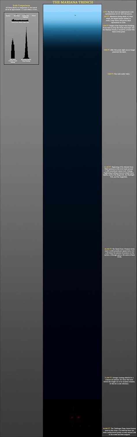 Hd Wallpaper Ocean Distance Human Infographics Charts Information Whale X Nature Oceans