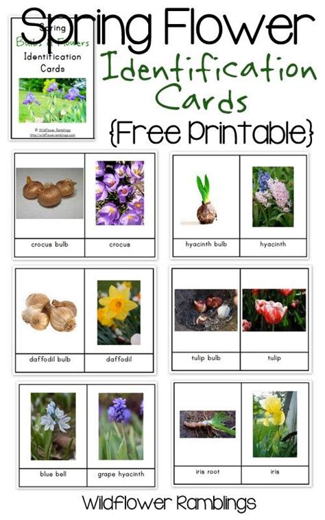 Horticulture Flowers And Their Names Ideas