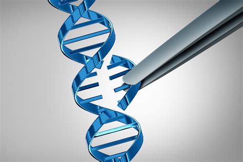Se puede regular la terapia génica con un interruptor Salud y Medicina