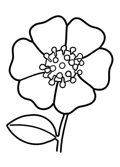 Coloring page - Flower