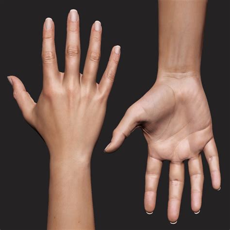 Realistic Female Arm Hand 3d Model Turbosquid 1312491