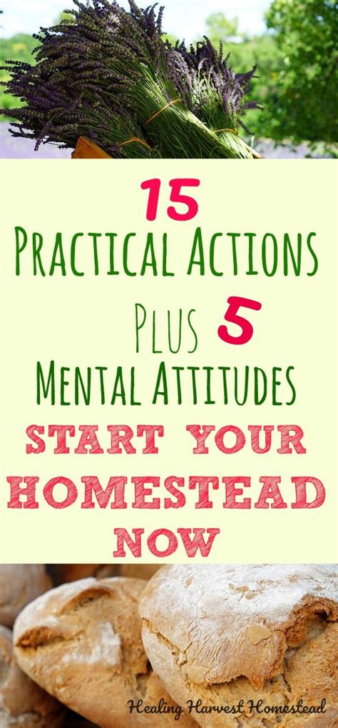 15 Homestead Skills To Learn No Matter Where You Live Plus 5 Mental