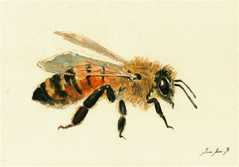 Honey Bee Painting Painting By Juan Bosco Fine Art America