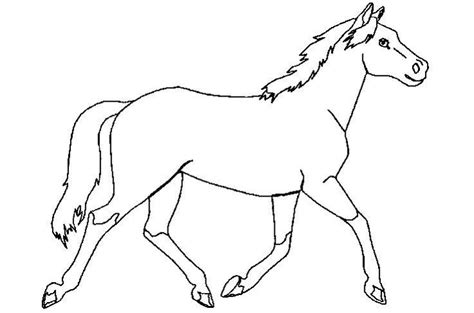 Kleurplaat Paard