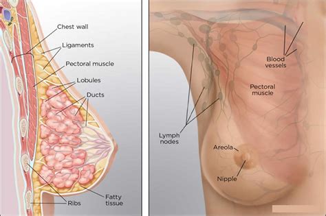 Muscle Strain Under Left Breast Porn Pics Sex Photos XXX Images