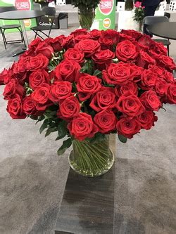 Orange county wholesale flowers orange county a county in southwestern california, between los angeles and san diego; Roses on Sale | 50% Off Roses | Orange County Wholesale ...