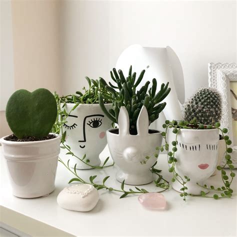 Indoor Plant Pots How To Pick A Pot For Your Plant And Your Home My
