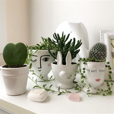 Indoor Plant Pots - How to Pick a Pot for Your Plant and Your Home - My