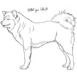 81 free images of shiba inu. Miniature Husky Shiba Coloring Pages Coloring Pages