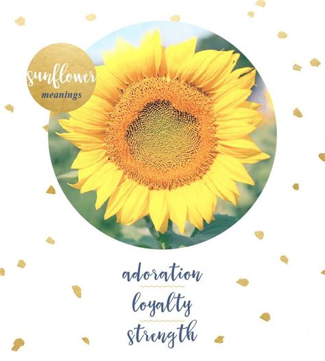 The undefined acronym /abbreviation/slang ftd means flowers to district. Sunflower Meaning and Symbolism - FTD.com | Meaning of ...