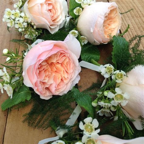 David Austin Peach Juliet Rose Buttonholes With Wax Flower Wax