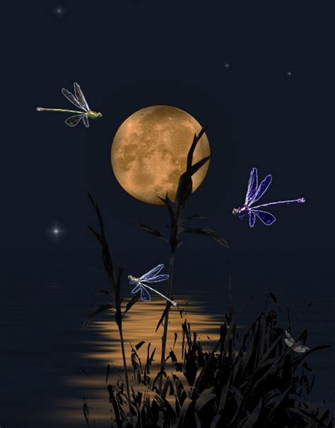 Dragonflies Dance · Free Image On Pixabay