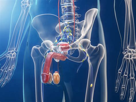 When breast cancer spreads to another organ it is still breast cancer. Mechanism triggering spread of prostate cancer to bones found