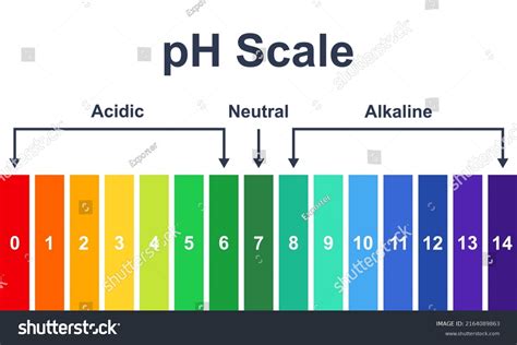 Chart Ph Acidic Neutral Alkaline Scale Stock Vector Royalty Free