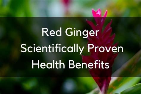 Red Ginger 11 Scientifically Proven Health Benefits