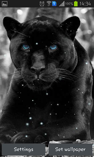 90 schwarzer panther hd wallpapers und hintergrundbilder. Black panther für Android kostenlos herunterladen. Live ...