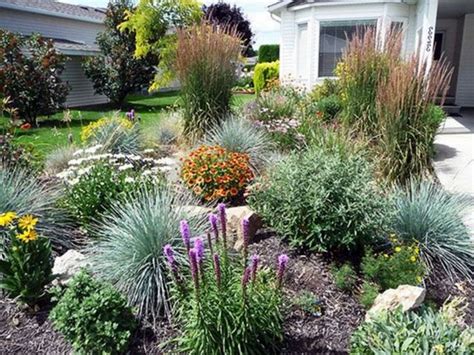 15 Top Xeriscape Landscaping Colorado Inspirations You Need To Know