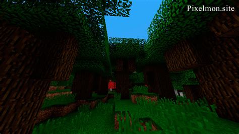 Roofed Forest Biome Pixelmon Reforged Wiki