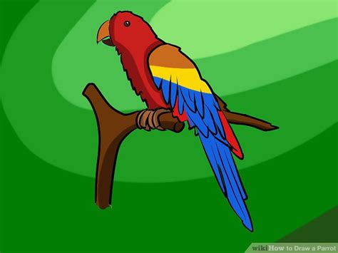 4 Ways To Draw A Parrot Wikihow