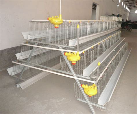 Layer Cages Are The Most Used Equipment For Poultry Farming Chicken Cage China Professional