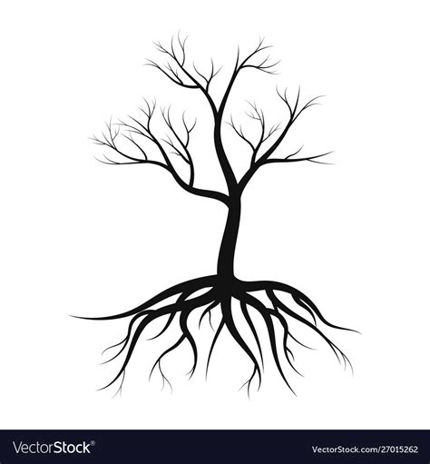 Tree Silhouette With Roots Without Leaves Vector Image