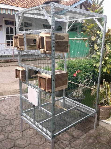 Contoh Kandang Koloni Ternak Lovebird sederhana | Rumah burung, Kandang