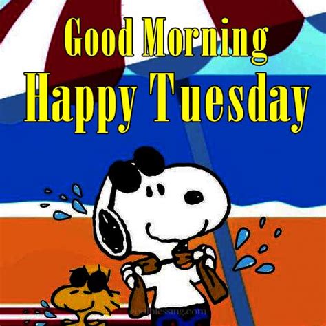 50 Snoopy Tuesday Morning Images
