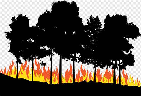 النار إقليدي ، النار في الغابة علم نص خلفية للكمبيوتر Png