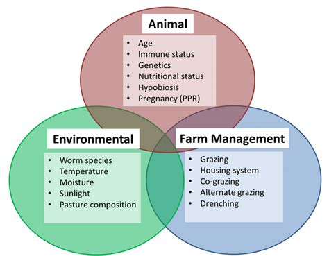Farm Health Online Animal Health And Welfare Knowledge Hub