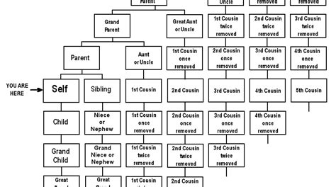 The Difference Between Second Cousins And Cousins Once Removed