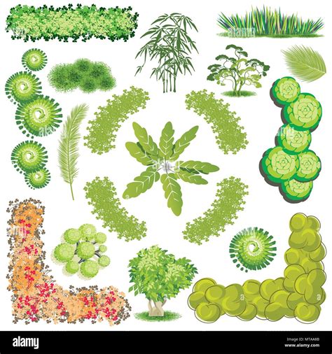Trees and bush item top view for landscape design, vector icon Stock