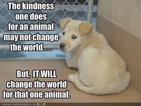 Browse top 4 famous quotes and sayings about kindness to animals by most favorite authors. The Kindness One Does For An Animal May Not Change The World. But, It Will Change The World For ...