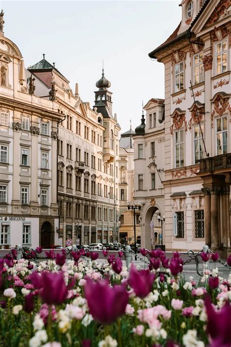 best 12 12 things to do in prague in 3 days artofit