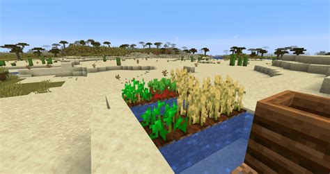 Top 5 Best Food Farms In Minecraft To Survive And Thrive