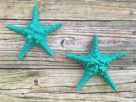Not only wall decor amazon, you might find another pics including home wall decor, wayfair wall decor, kohl's wall decor, google wall wall organization, amazon home decor, amazon wall mirrors, amazon figurines, amazon wall clocks, amazon frames, amazon games, amazon food. Amazon.com: Large Colorful Starfish Wall hanging, 8 inch Sea Star beach Home Decoration ...