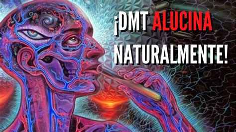 DMT natural Música para AUTODROGARSE y activar la glándula pineal