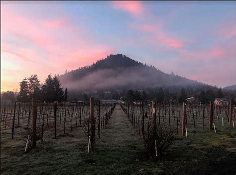 Foon Estate Vineyard Roseburg All You Need To Know Before You Go