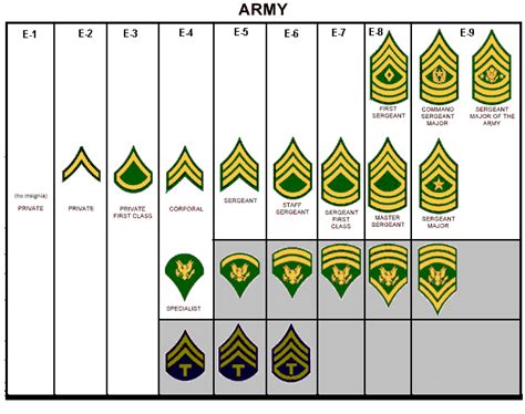 Army Rank Ateamcanon — Livejournal