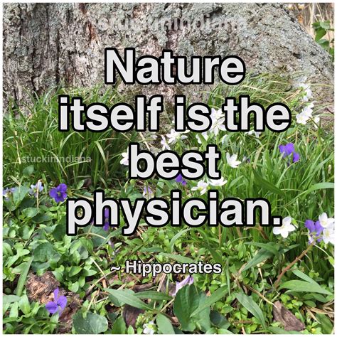 nature itself is the best physician hippocrates worth quotes nature choose joy