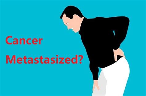 Metastatic Cancer What Does It Mean If Cancers Spread And Metastasize
