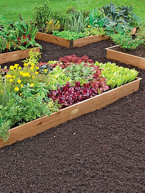 These beds are ideal if you have poor soil quality or bad drainage in your yard, since they give you a little more control over your plants' growing environment. Cedar Raised Beds 2 ft. | Raised Bed Gardening Made in Vermont